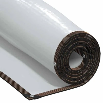 Afbeelding van vidaXL Doorzichtig zeildoek met zeilringen 6x8 m polyethyleen