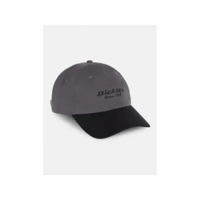 Afbeelding van Dickies Papa pet van katoen, keperstof, zwart, één maat, zwart.