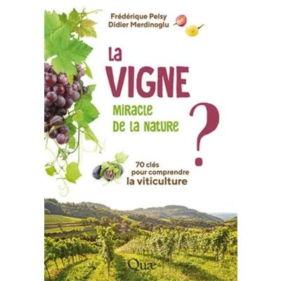 Image de la vigne, miracle de nature ?