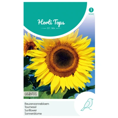Afbeelding van Helianthus Zonnebloem Giganteus