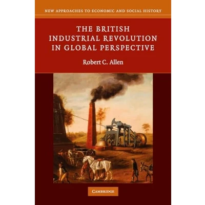 Afbeelding van British Industrial Revol Global Perspect