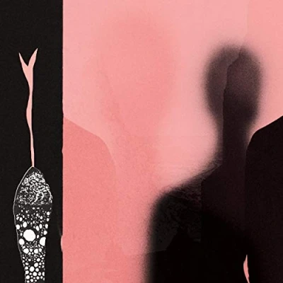 Afbeelding van H. Hawkline In the Pink of Condition (LP)