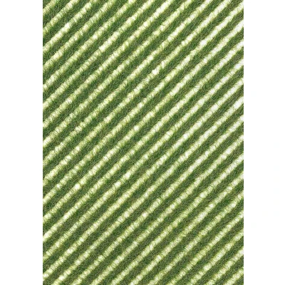 Afbeelding van Busch 1342 Grasstrips Lente Lichtgroen