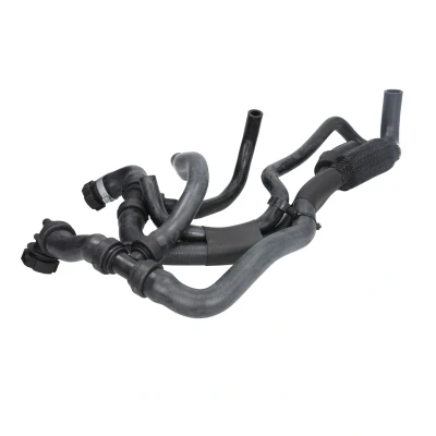 Afbeelding van SASIC 3404200 Koelwaterslang RENAULT: LAGUNA 3