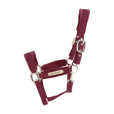 Image de Kentucky Licol velours Bordeaux Full
