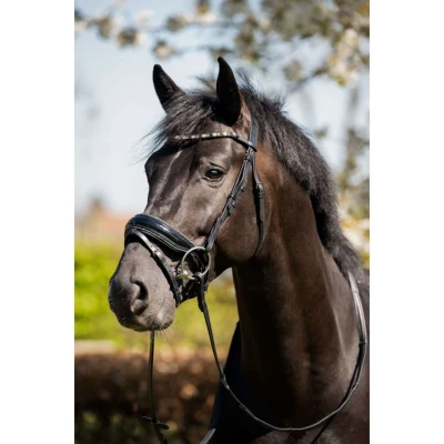 Afbeelding van HB Hoofdstel Evalira Zwart / Grijs Glitter Pony