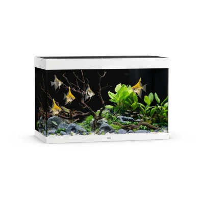 Afbeelding van Juwel Rio 290 Led Aquarium 101x51x66 cm Wit