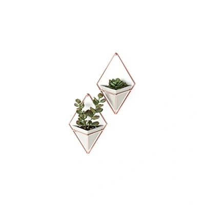Afbeelding van Umbra Trigg 2 stuks hangvazen en geometrische wanddecoratie van beton ideaal voor vetplanten, luchtplanten, mini cactussen, kunstplanten meer, kleine modellen beton/koper