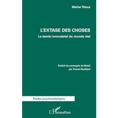Afbeelding van L&#039;EXTASE DES CHOSES LE DESTIN IMMATERIEL DU MONDE REEL