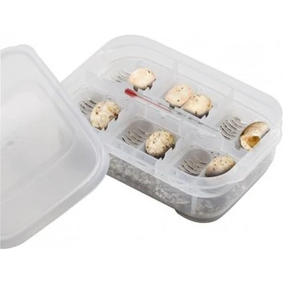 Afbeelding van Exo Terra Techniek Toebehoren EX Incubatie Box Voor Reptielen Eieren 5x17x13cm