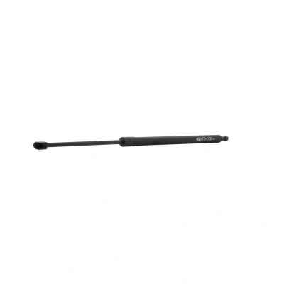 Afbeelding van MAGNETI MARELLI 430719150600 Gasveer achterklep 570 595