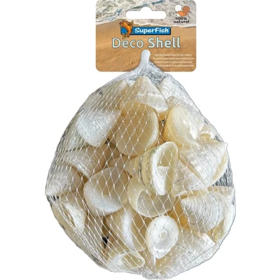 Afbeelding van Superfish Decoratie schelpen Spiraal wit Heremietkreefthuisjes