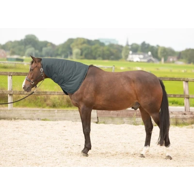 Image de Harry&#039;s Horse Couvre Cou Thor 200 Ébène L