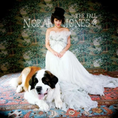 Afbeelding van Norah Jones The Fall (CD)
