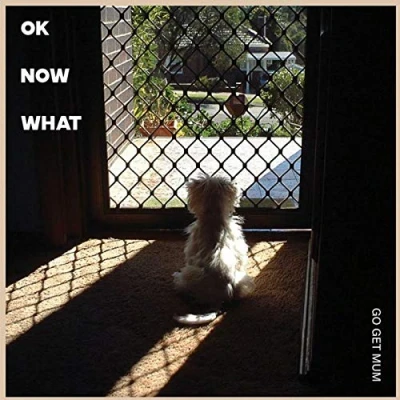 Afbeelding van Ok Now What (12&quot; Vinyl Single)