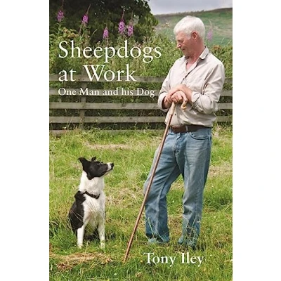 Afbeelding van Sheepdogs At Work