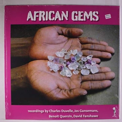 Afbeelding van Various Artists African Gems (LP)