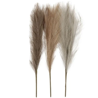 Afbeelding van Pampasgras Beige/Bruin/Grijs, 3st.