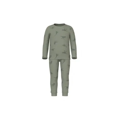 Afbeelding van Name it Nmmnightset DINO Pyjama voor kinderen, Maat: 110/116, Agave green