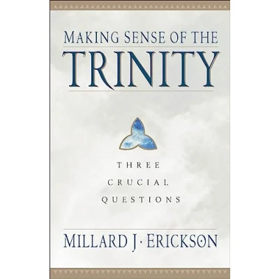 Afbeelding van Making Sense of the Trinity
