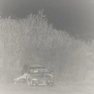 Afbeelding van Actress Statik (LP)