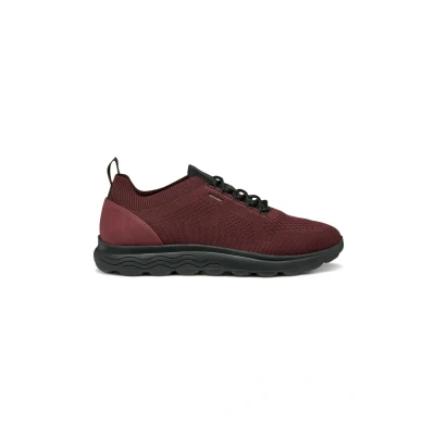 Afbeelding van Geox Spherica Sneakers laag, Heren, Maat: 44, Wine black Schoenen