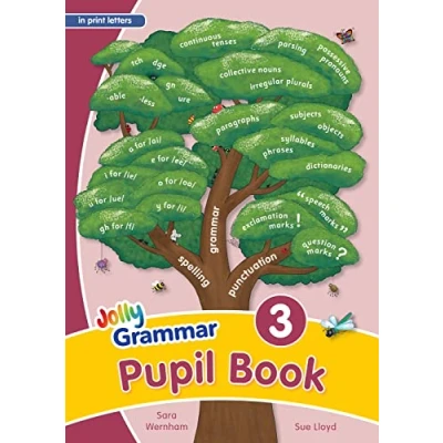 Afbeelding van Grammar 3 Pupil Book (In Print Letters)