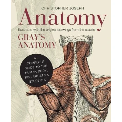 Afbeelding van Anatomy