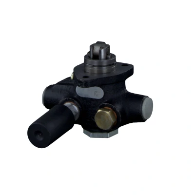 Afbeelding van Febi Bilstein Brandstofpomp 22484