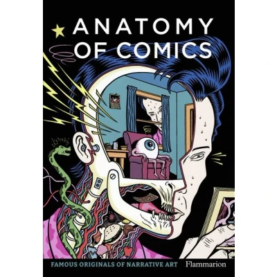 Image de Anatomy of Comics