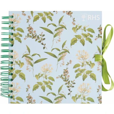 Afbeelding van Papermania Leaves 8x8 Inch Scrapbook (RHS 101107)