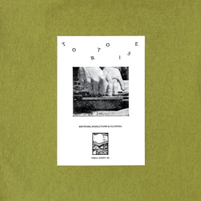 Afbeelding van Tortoise Rhythms, Resolutions &amp; Clusters (LP)