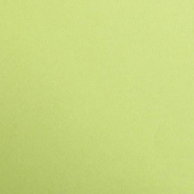 Afbeelding van Clairefontaine Ref 97452C Kleurrijk Maya tekenpapier glad (25 vellen) 270 g/m² papier A4 (29,7 x 21 cm) Mosgroen Diep gekleurd, zuurvrij, pH neutraal