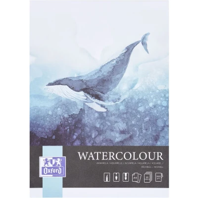Afbeelding van Aquarelblok Oxford Watercolour A4 20 vel 300 gram gelijmd