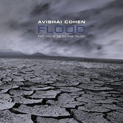 Afbeelding van Avishai Cohen Flood (CD)