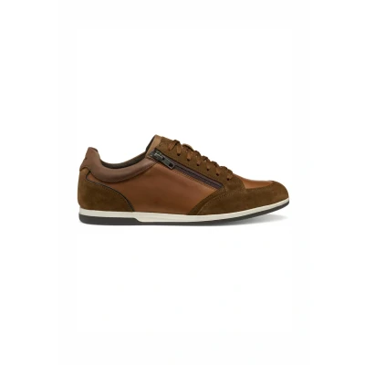 Afbeelding van Geox Sneakers laag, Heren, Maat: 40, Brown cotto Schoenen