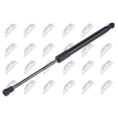 Afbeelding van NTY AE CT 007 Gasveer achterklep 495 375 CITROËN: C5 3