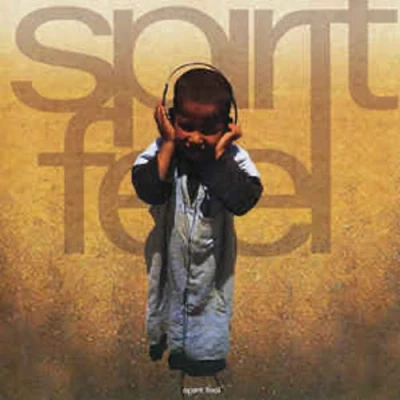 Afbeelding van Spirit Feel (CD)
