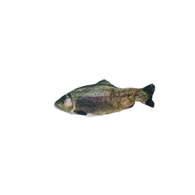Afbeelding van Robocat Forel