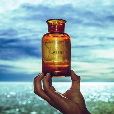 Afbeelding van Blackfield V (LP)