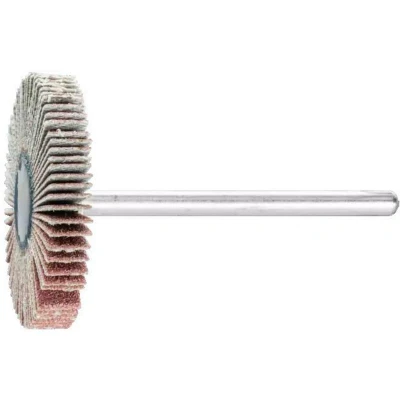 Afbeelding van PFERD 44401183 Lamellenschijf Diameter 30 mm 10 stuk(s)