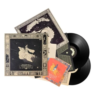 Afbeelding van Tigran Hamasyan The Bird of a Thousand Voices (2 LPs)