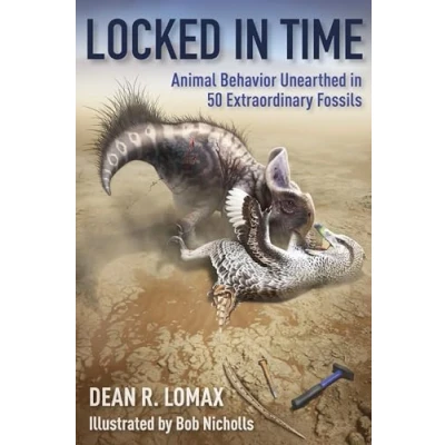 Afbeelding van Locked in Time