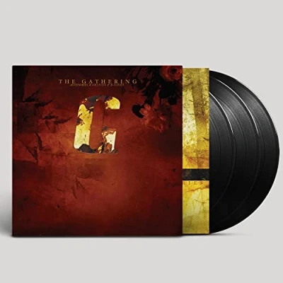 Afbeelding van Gathering Accessories Rarities and B Sides (3 LPs)