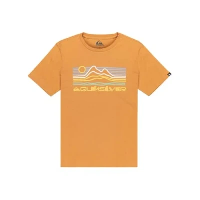 Afbeelding van Quiksilver T Shirt Manche Courtes EV Light Waves SS Marron 12