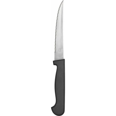 Afbeelding van Vleesmes Amefa Metaal Tweekleurig 21 cm 12 Stuks