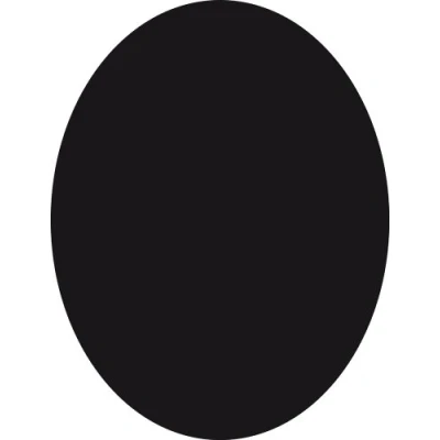 Image de Silhouette oval ardoise Feutre craie inclus et kit velcro pour accrochage mural 30x50cm