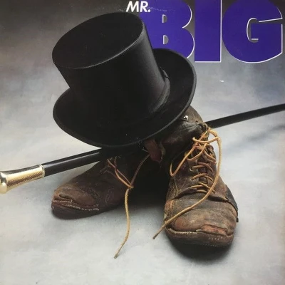 Afbeelding van Mr. Big (LP)