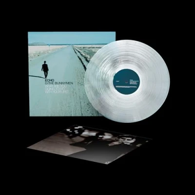 Afbeelding van Echo &amp; The Bunnymen What Are You Going to Do With Your Life? (Crystal Clear LP)