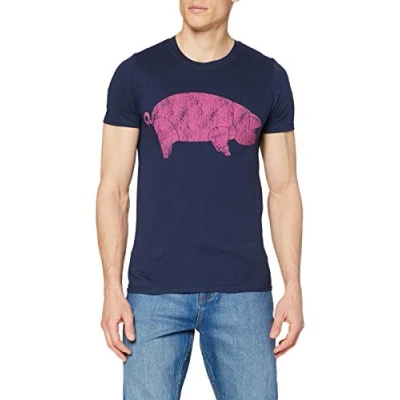Afbeelding van Pink Floyd AWBDG Heren T shirt L Blauw